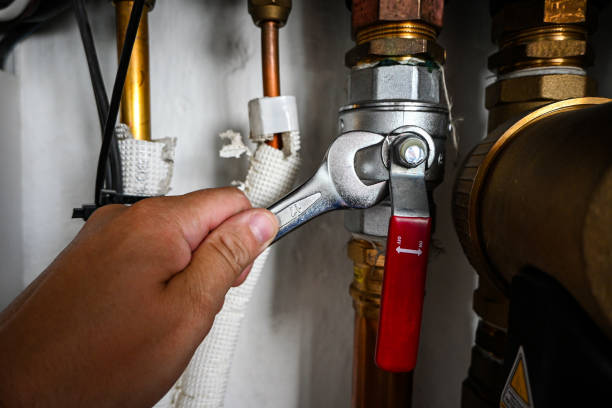 Best Local Plumber Services  in Sky Lake, FL